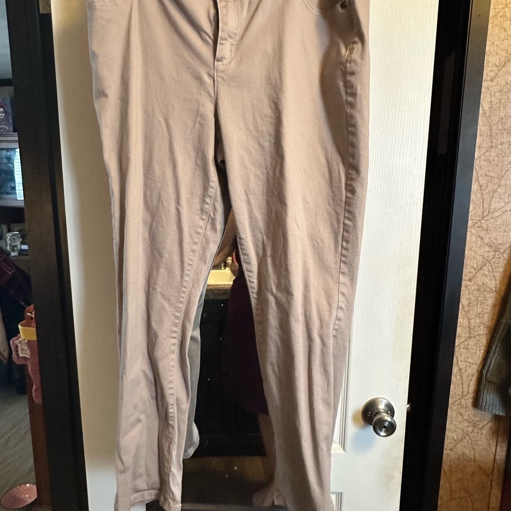 Simply Vera Vera Wang Tan Chinos with Flat Front Design